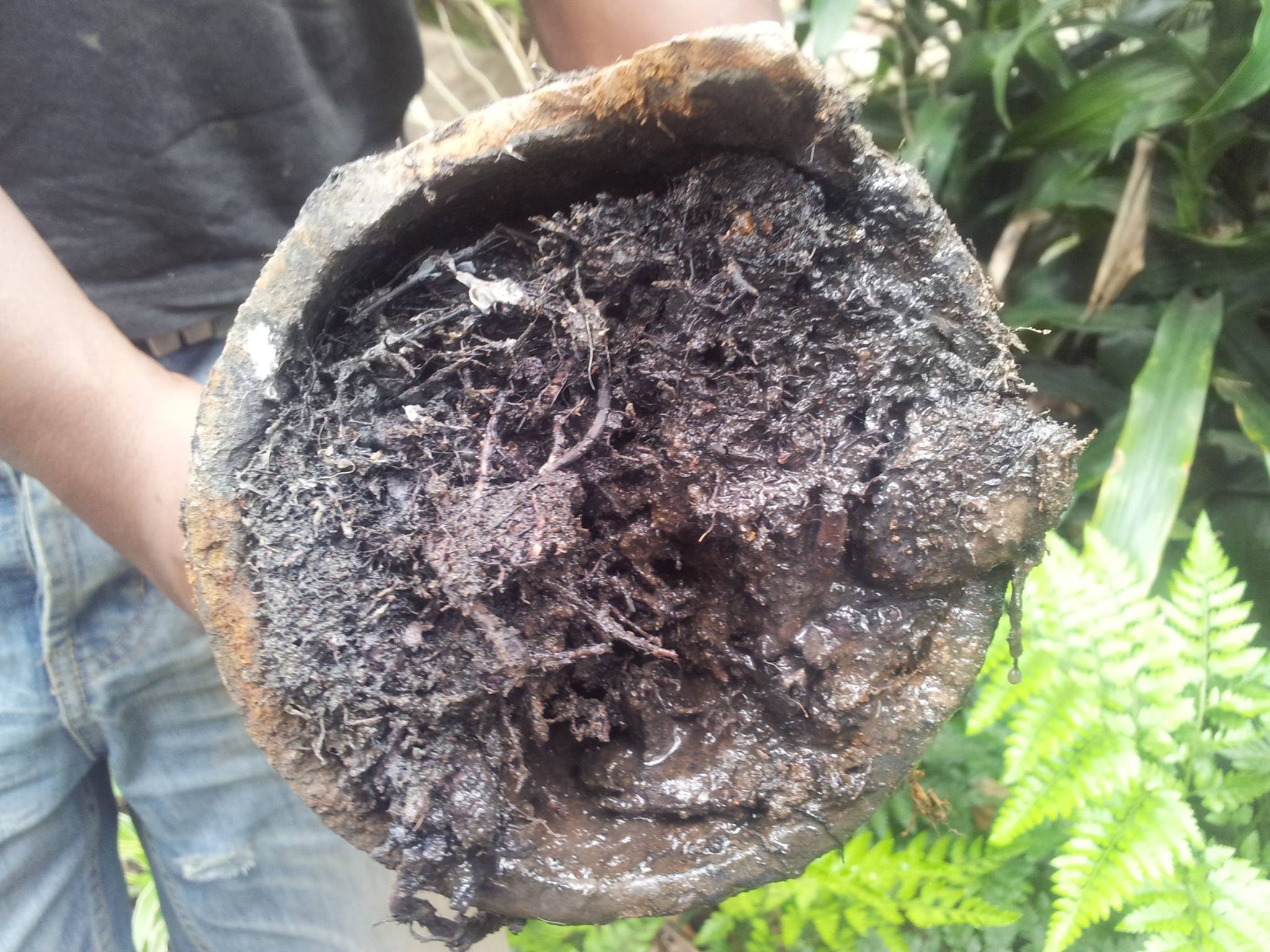 Blocked sewer repair
